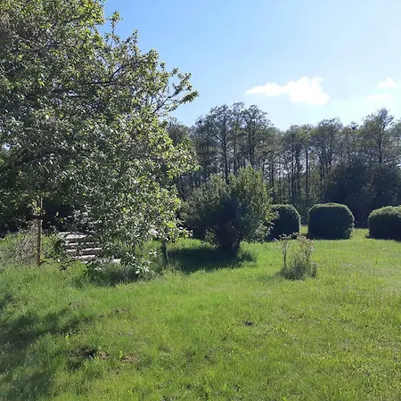 Scenic Summer House Near Quiet Lapping Waves